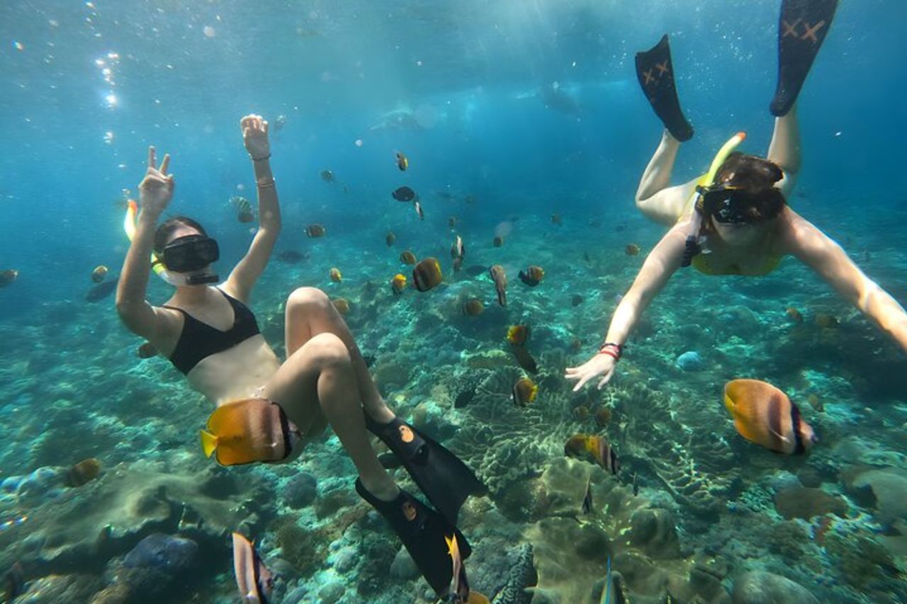 Snorkeling a Nusa Penida con partenza dall'isola di Bali — 9