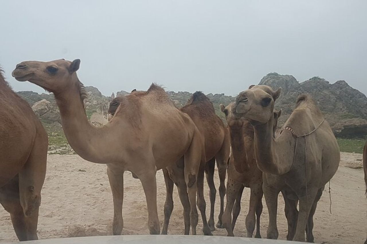 West Salalah Tour - Caraibi d'Oriente - Spiaggia di Fazayah con città — 4