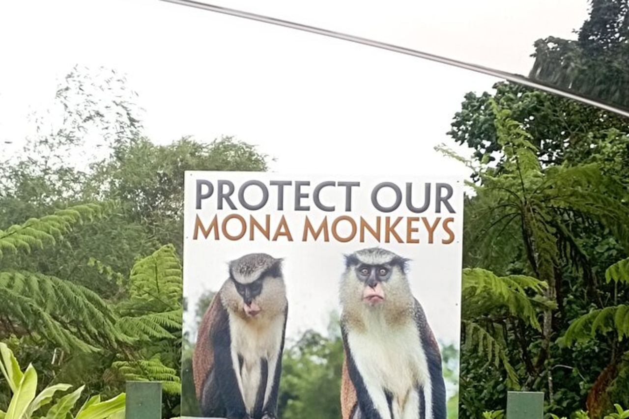 Tour privato di mezza giornata dell'Isola delle Spezie