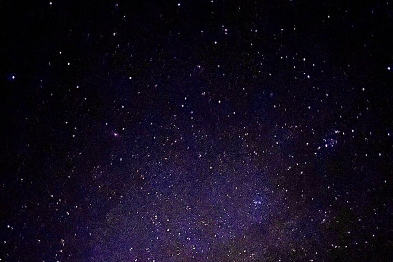 Safari notturno nel deserto selvaggio — 8