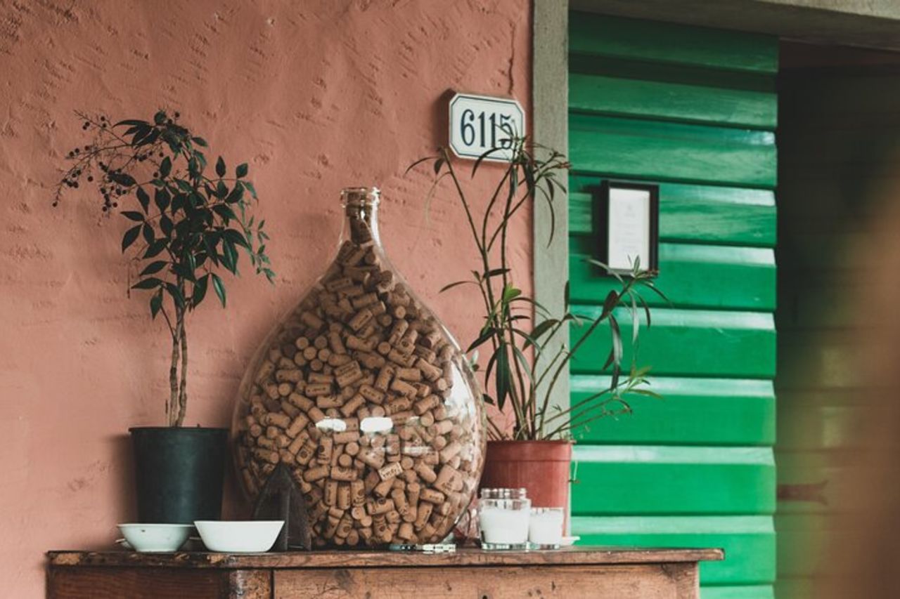 Lucca: Esperienza di degustazione di vini - Azienda vinicola Tenuta Adamo — 8