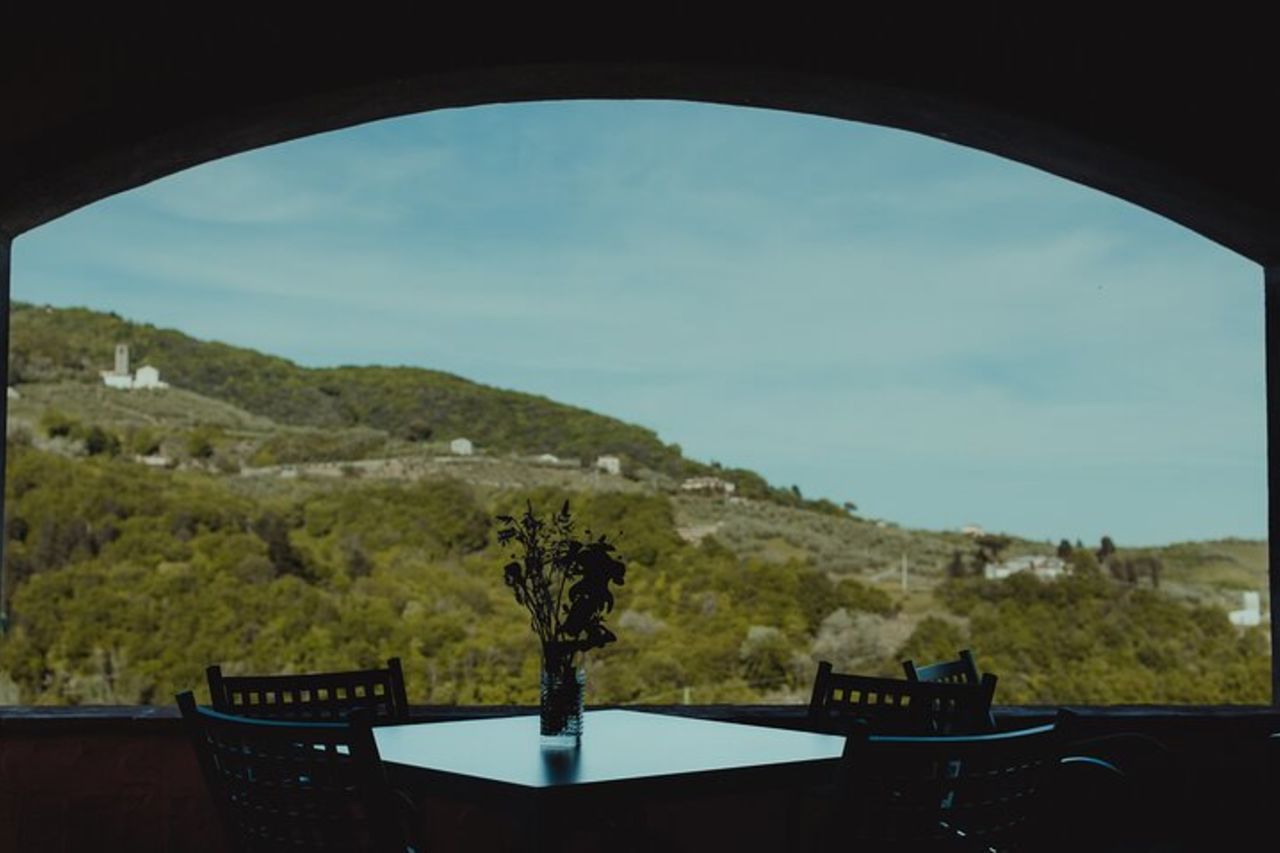 Lucca: Esperienza di degustazione di vini - Azienda vinicola Tenuta Adamo — 7