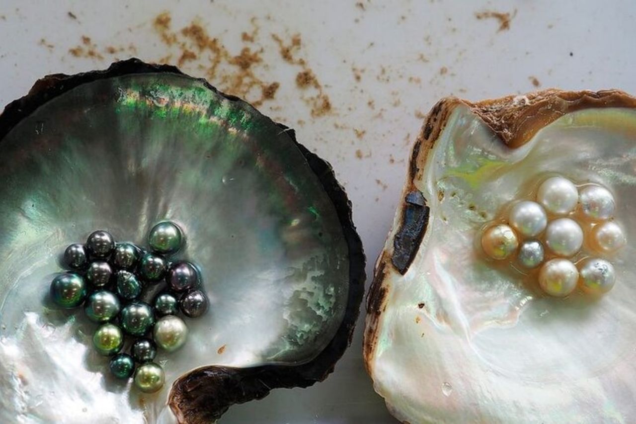 Tour intorno all'isola di Phu Quoc con minibus AC — 9