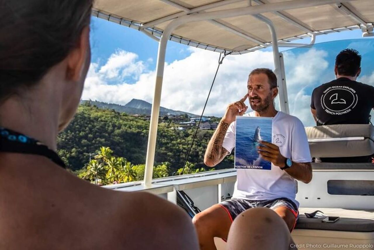 4 ore di osservazione delle megattere a Tahiti — 9