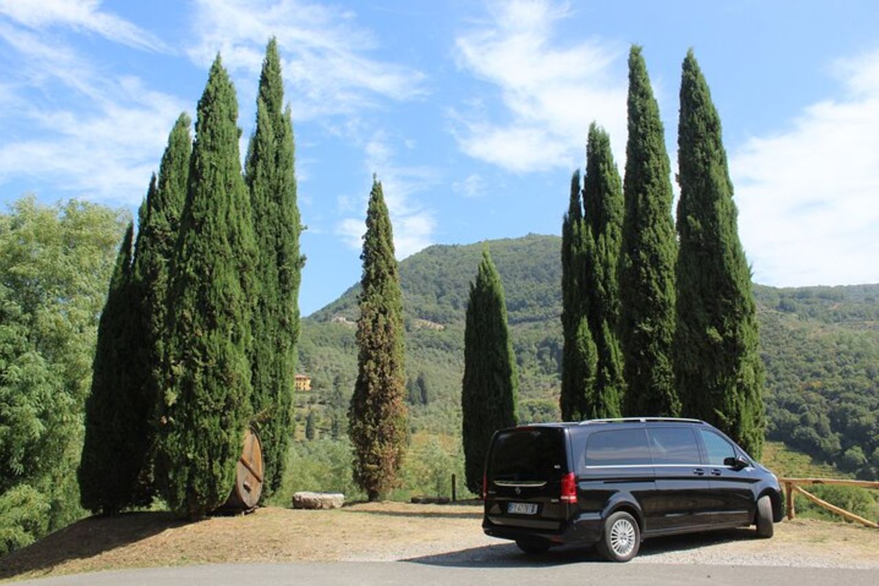 Degustazione in un Vigneto Toscano con trasferimento da Pisa