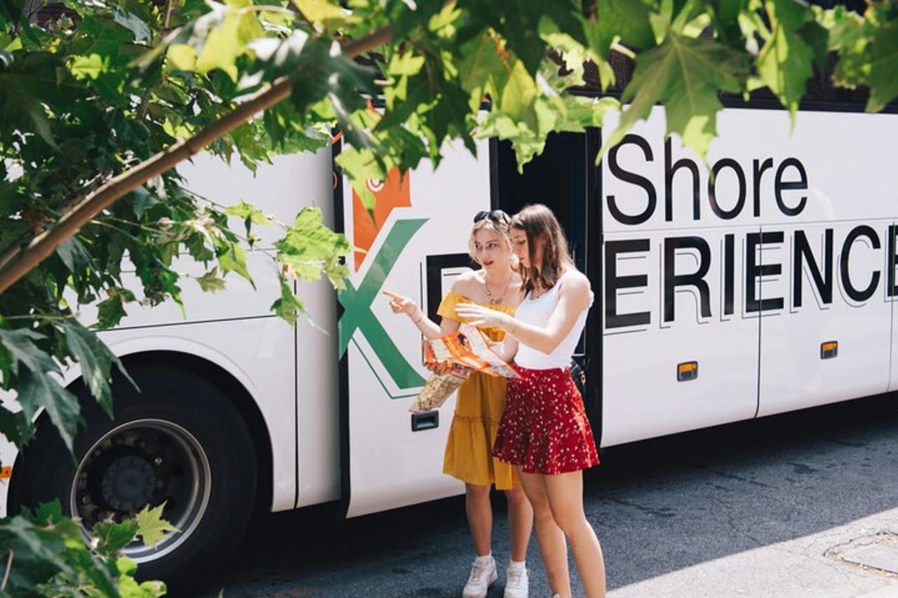 Escursione a terra a Livorno: Firenze e Pisa con Accademia e Torre — 3