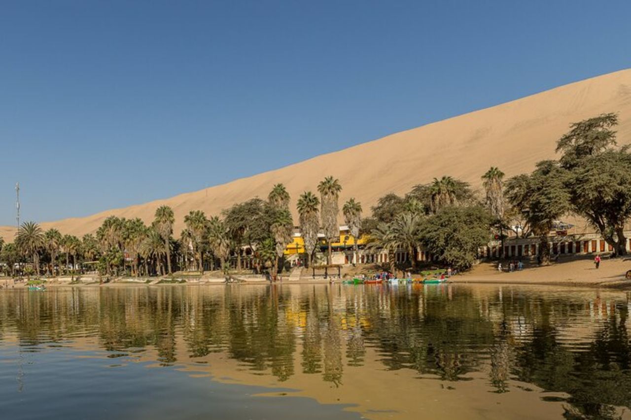 Escursione di un giorno a Paracas e Huacachina da Lima: esperienza al tramonto — 9
