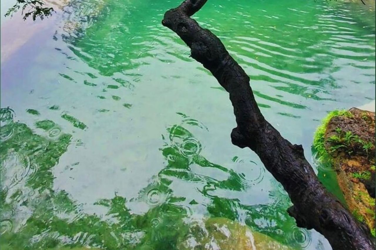 East Salalah mountain Safari - Tour di un'intera giornata — 9