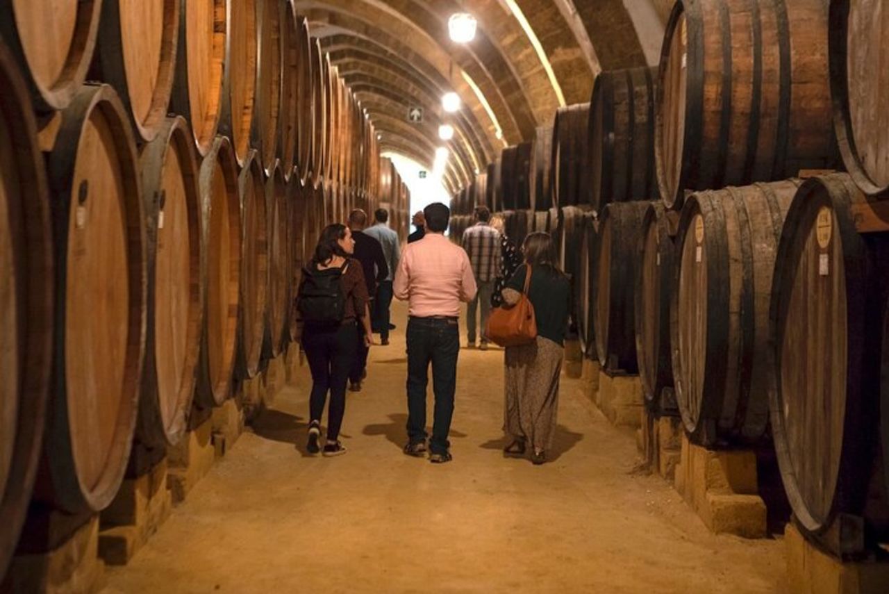 Visita della Cantina Florio e degustazione di vini — 2