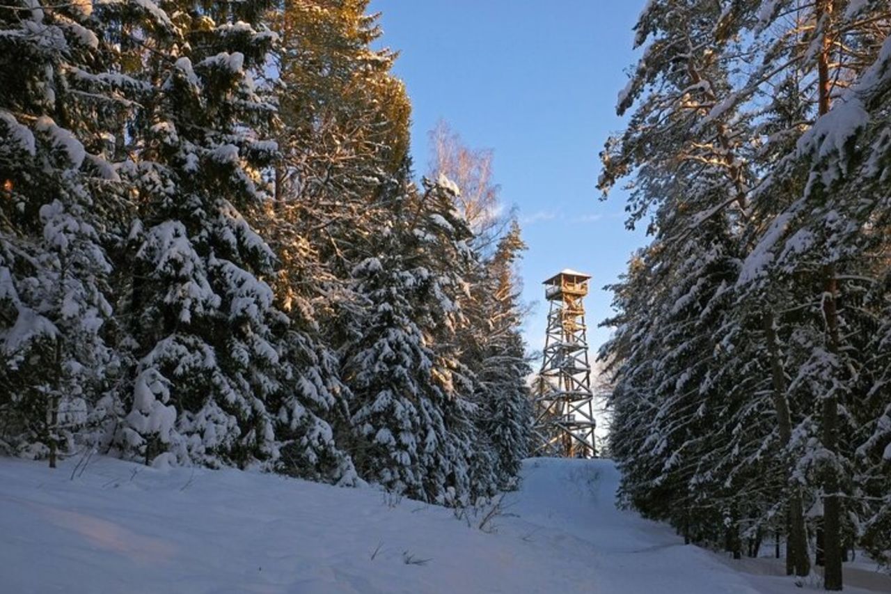 Tour di slittino per cani Husky da Riga — 9