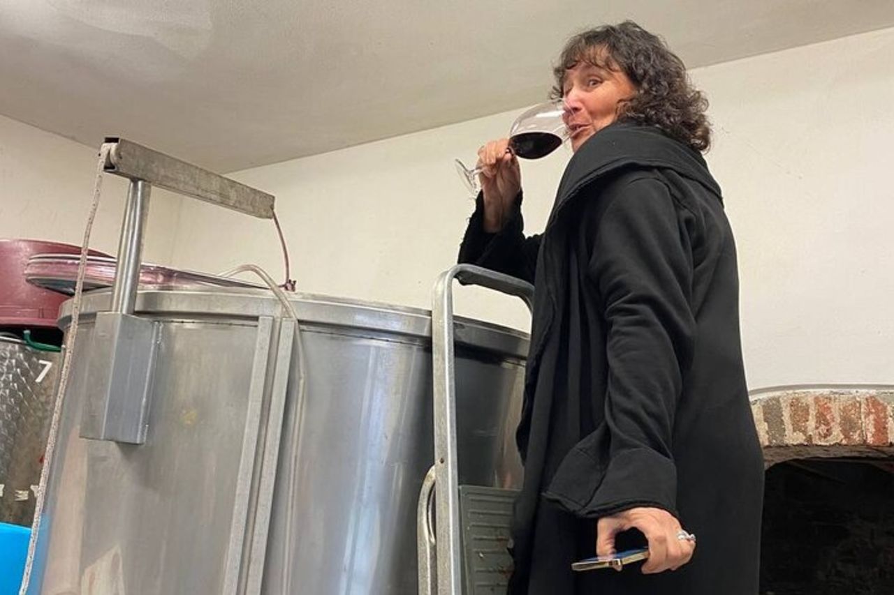 Degustazione in un Vigneto Toscano con trasferimento da Pisa — 9