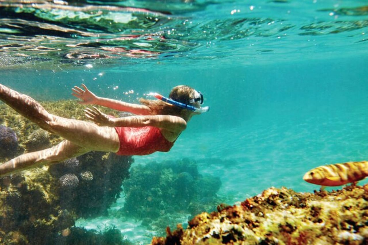 Rodi Exclusive Swim Cruise Cocktail Open bar & Buffet gourmet — 2