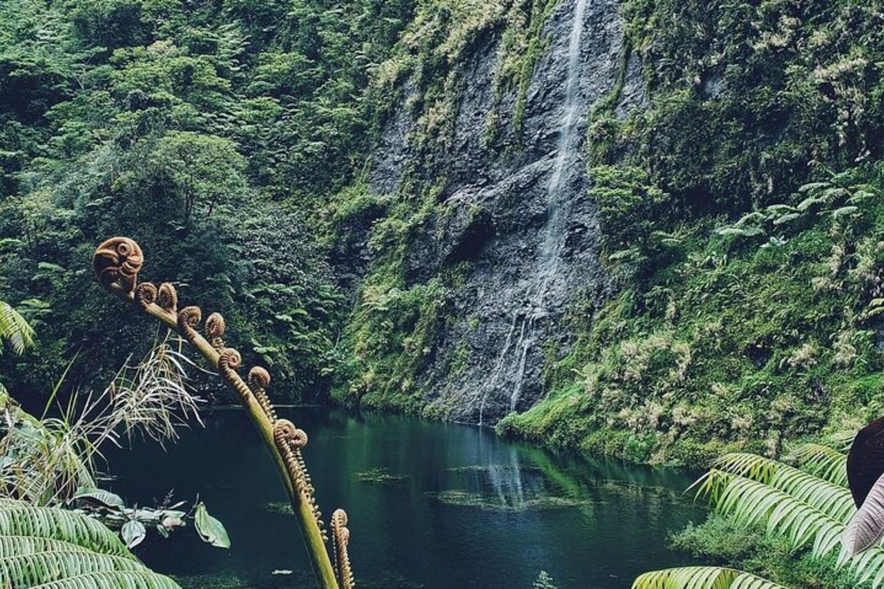 Traversata sull'isola di Tahiti Safari 4x4 — 2