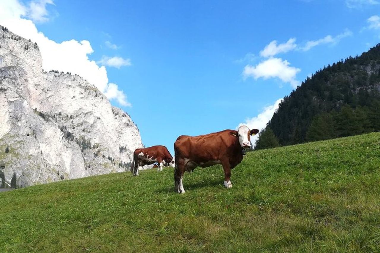 Il Grande Tour delle Dolomiti dal Lago di Garda — 3