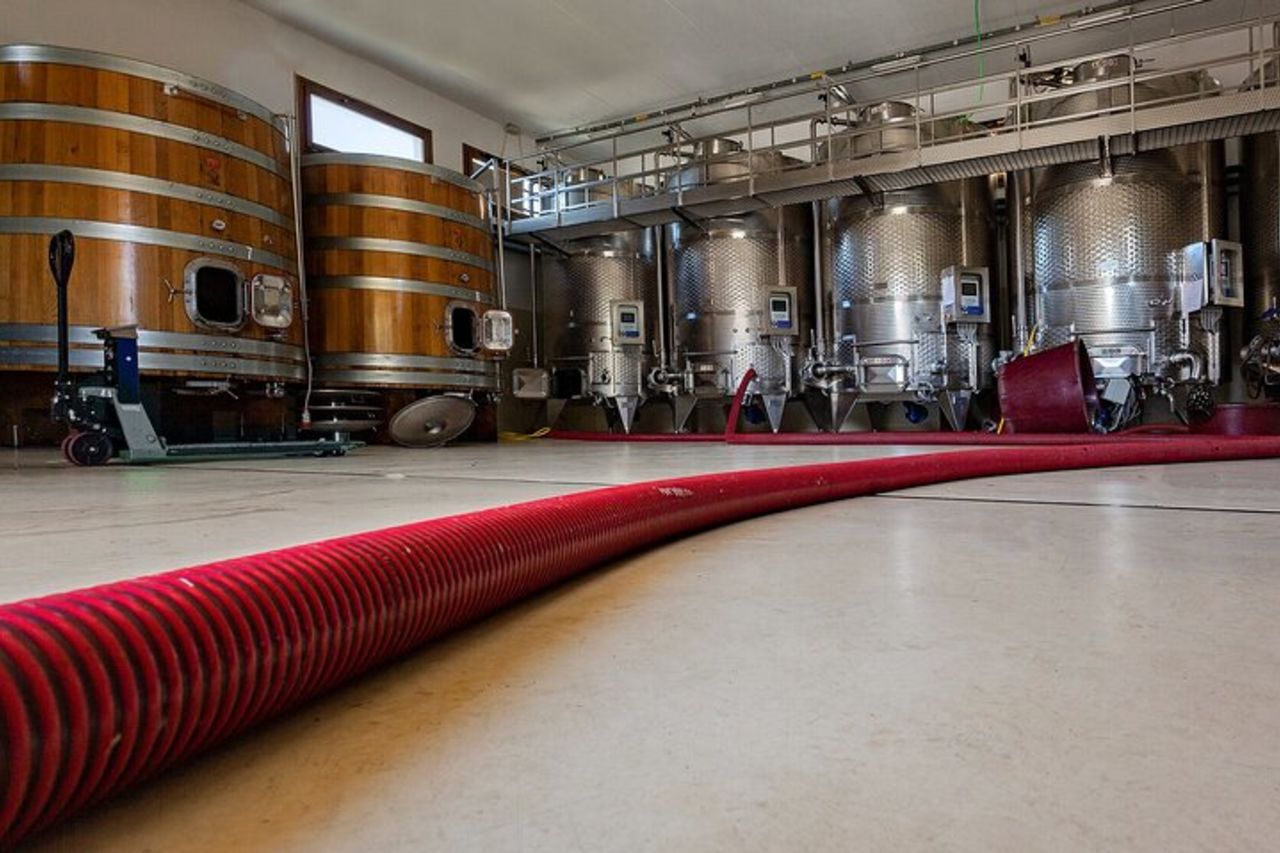 Tour in cantina con degustazione di vini e cibi a Nuoro — 5