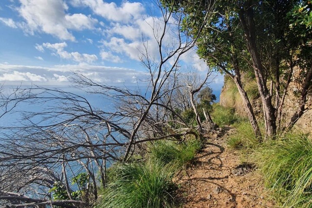 Escursione panoramica privata da Portofino a S. Fruttuoso — 8