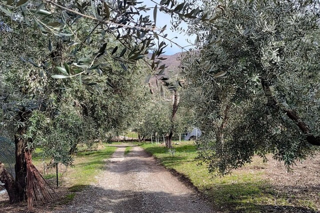 Tour gastronomico degli agricoltori locali di Varenna — 6