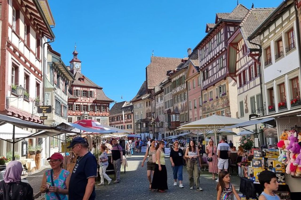 Tour di Mezza Giornata alle Cascate del Reno e a Stein am Rhein da Zurigo — 7