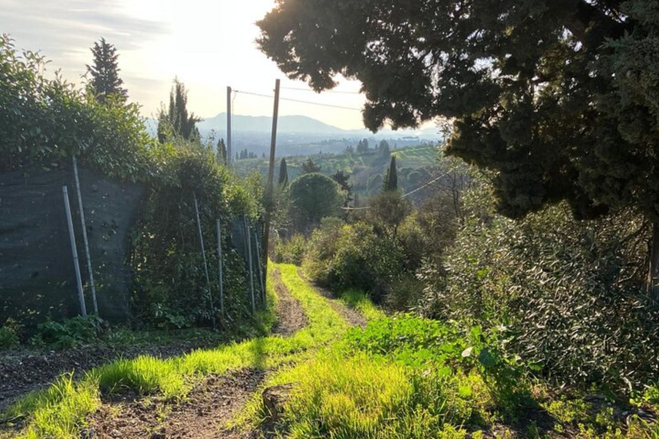 E-BIKE adventure a Montecatini Terme e Valdinievole — 4