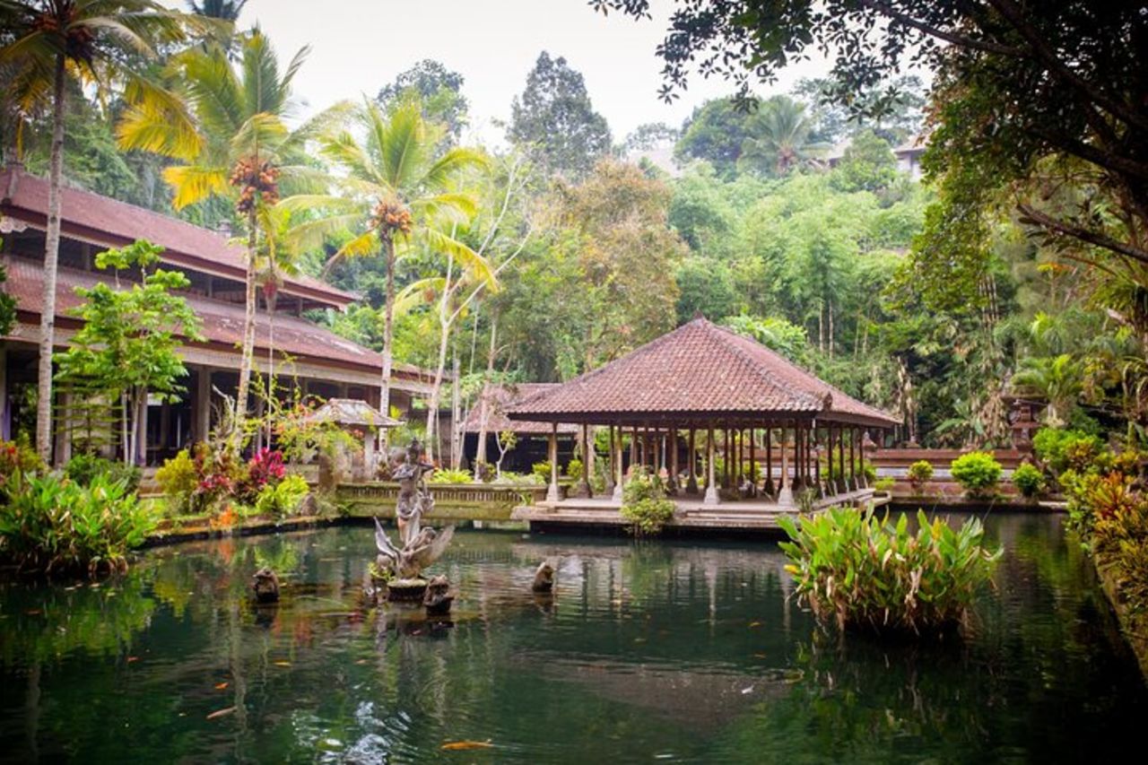 Le principali attrazioni di Ubud: cascate, templi e terrazze di riso — 9