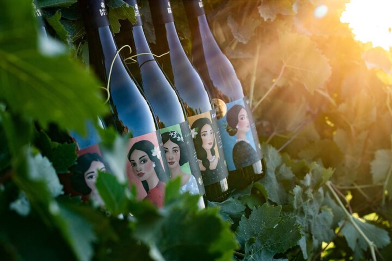 Marsala Degustazione di 5 vini biologici siciliani