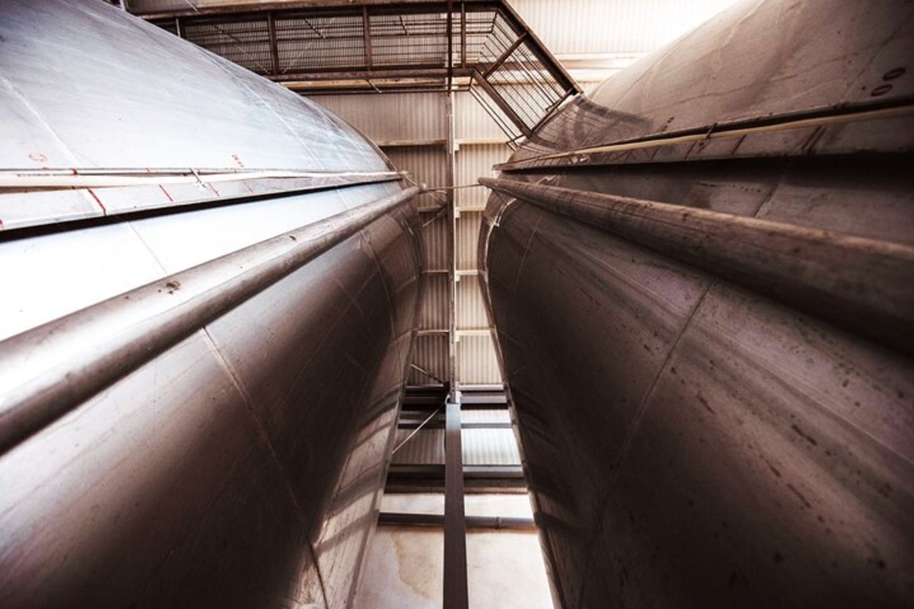 Marsala Degustazione di 5 vini biologici siciliani — 3