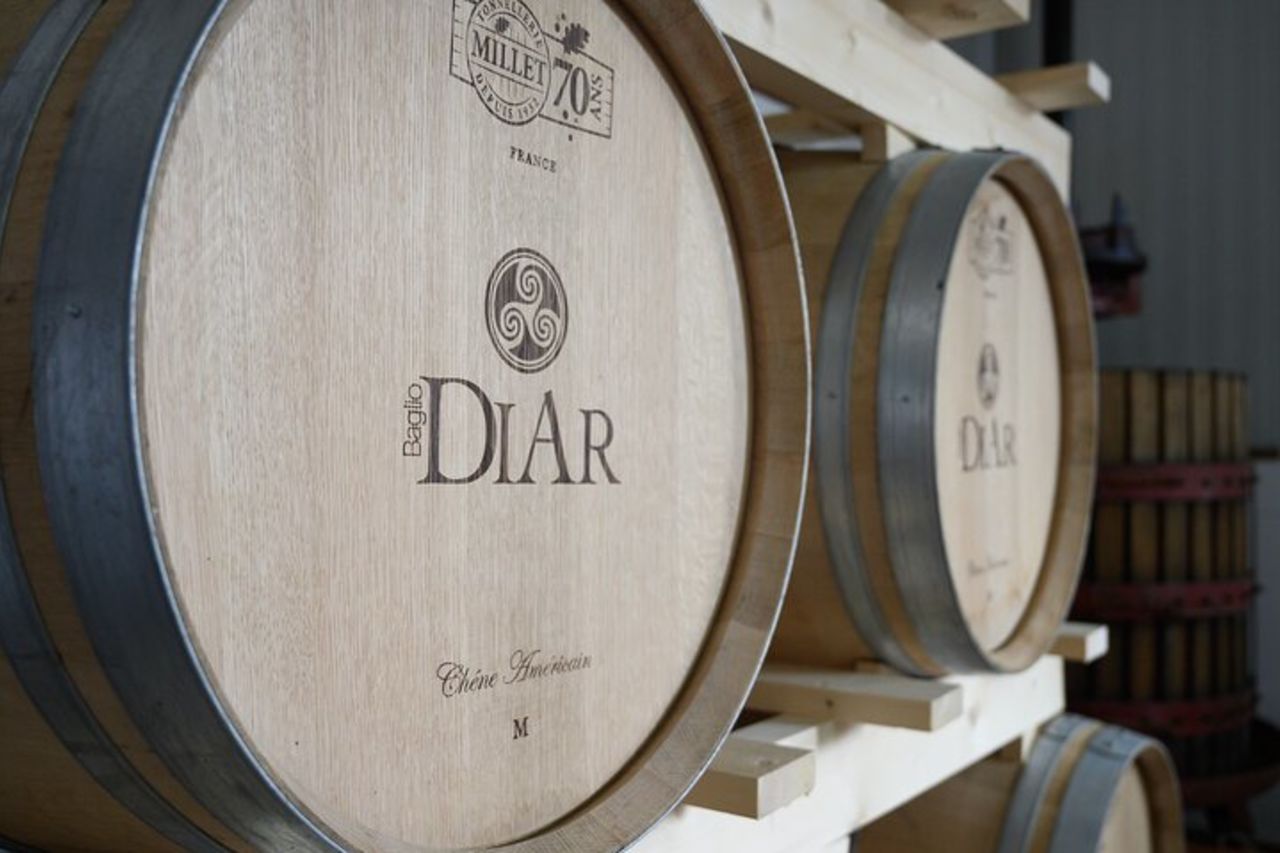 Marsala Degustazione di 5 vini biologici siciliani — 4