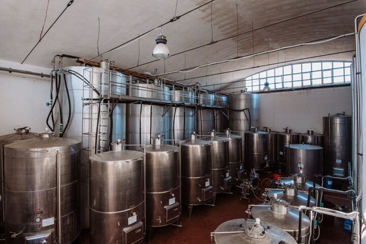 Marsala Degustazione di 5 vini biologici siciliani — 5