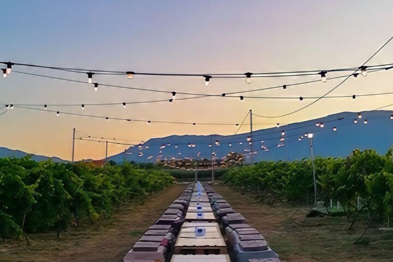 Visita e degustazione a 30 minuti da Pescara Entry — 3