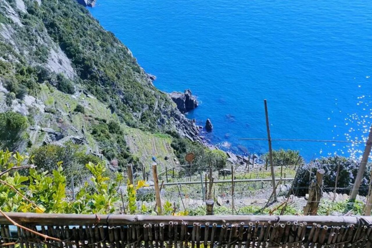 Tour dei vigneti con degustazione di vini alle Cinque Terre — 2