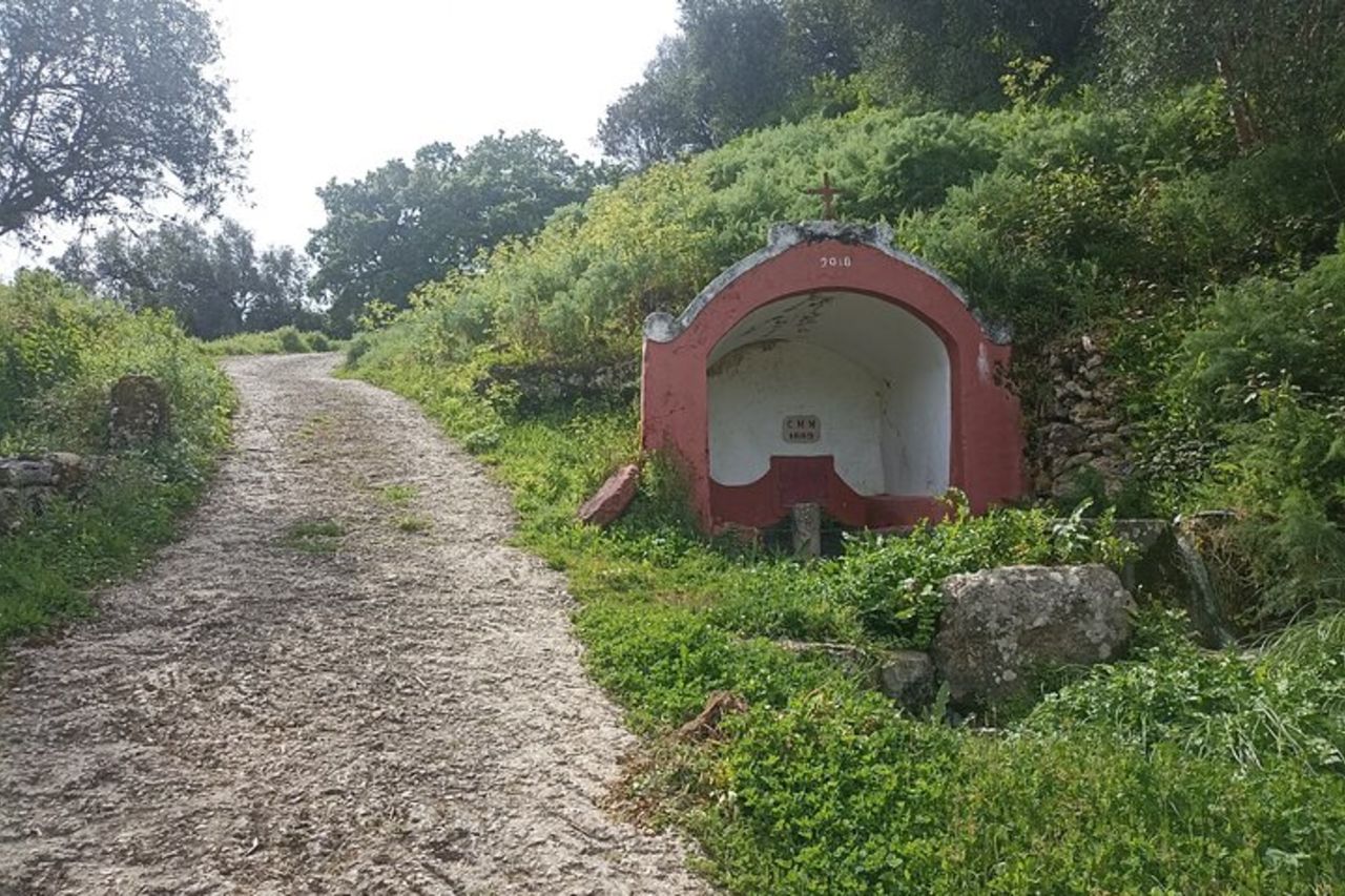 Escursioni & vino Ericeira — 2