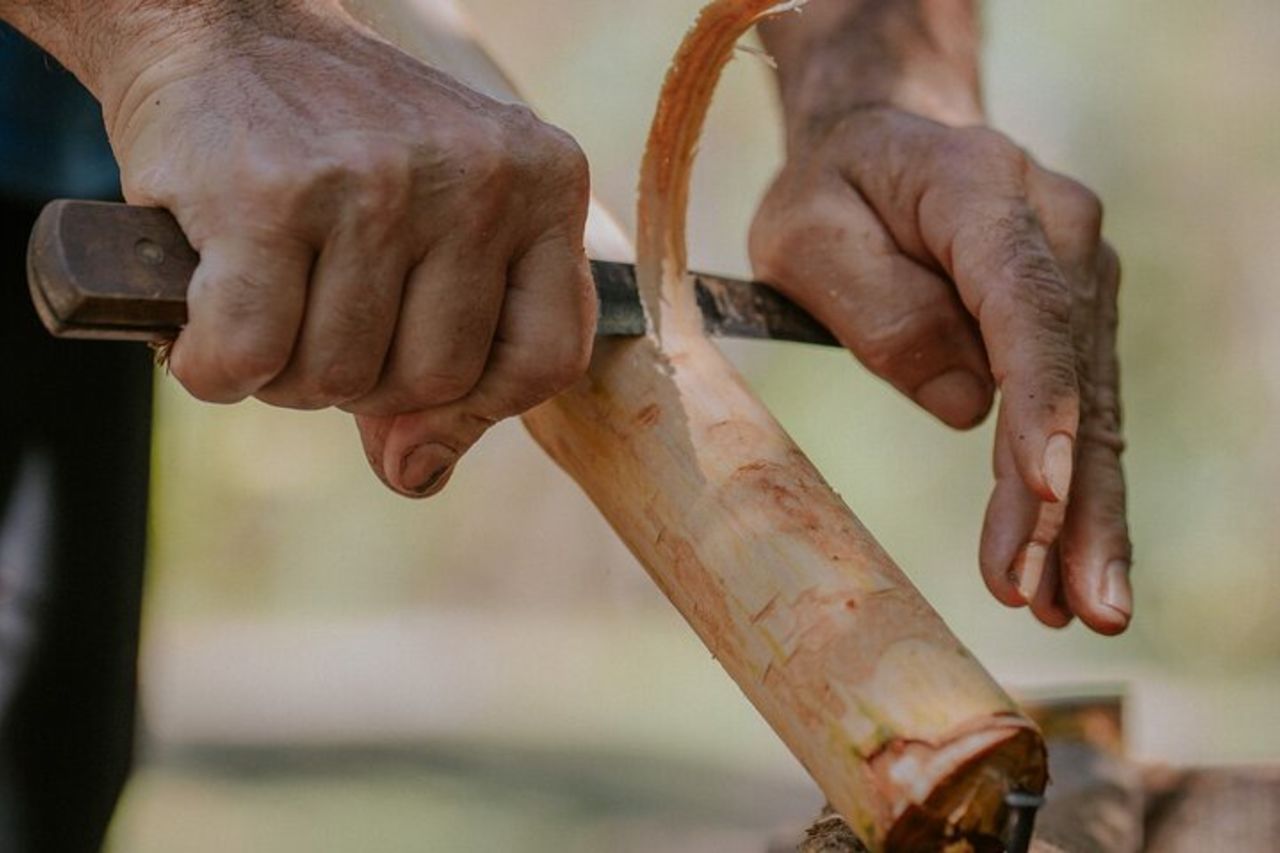 Villa Vaniglia: tour originale di vaniglia, cacao e spezie — 3