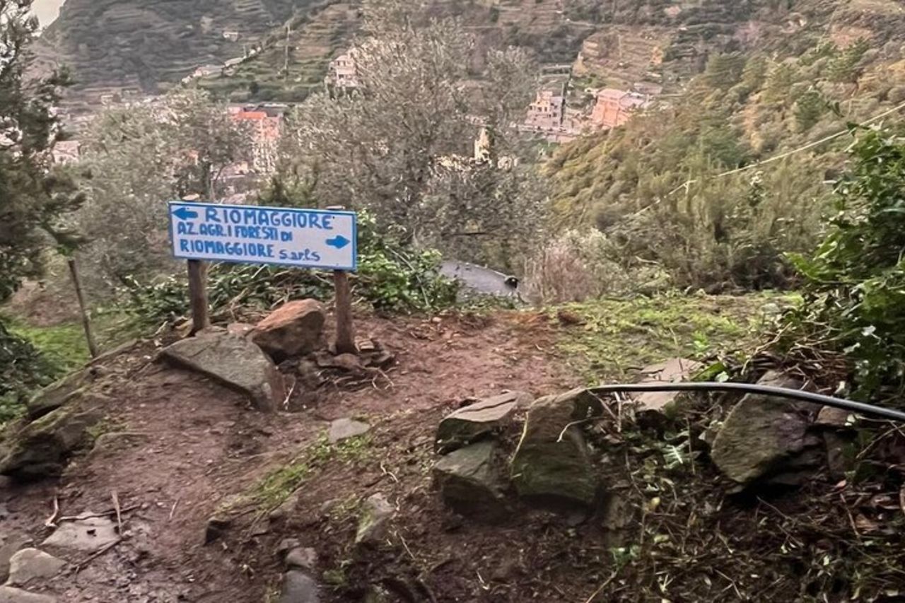 Cinque Terre: lezione di gnocchi e pesto con vista mare a Riomaggiore — 9