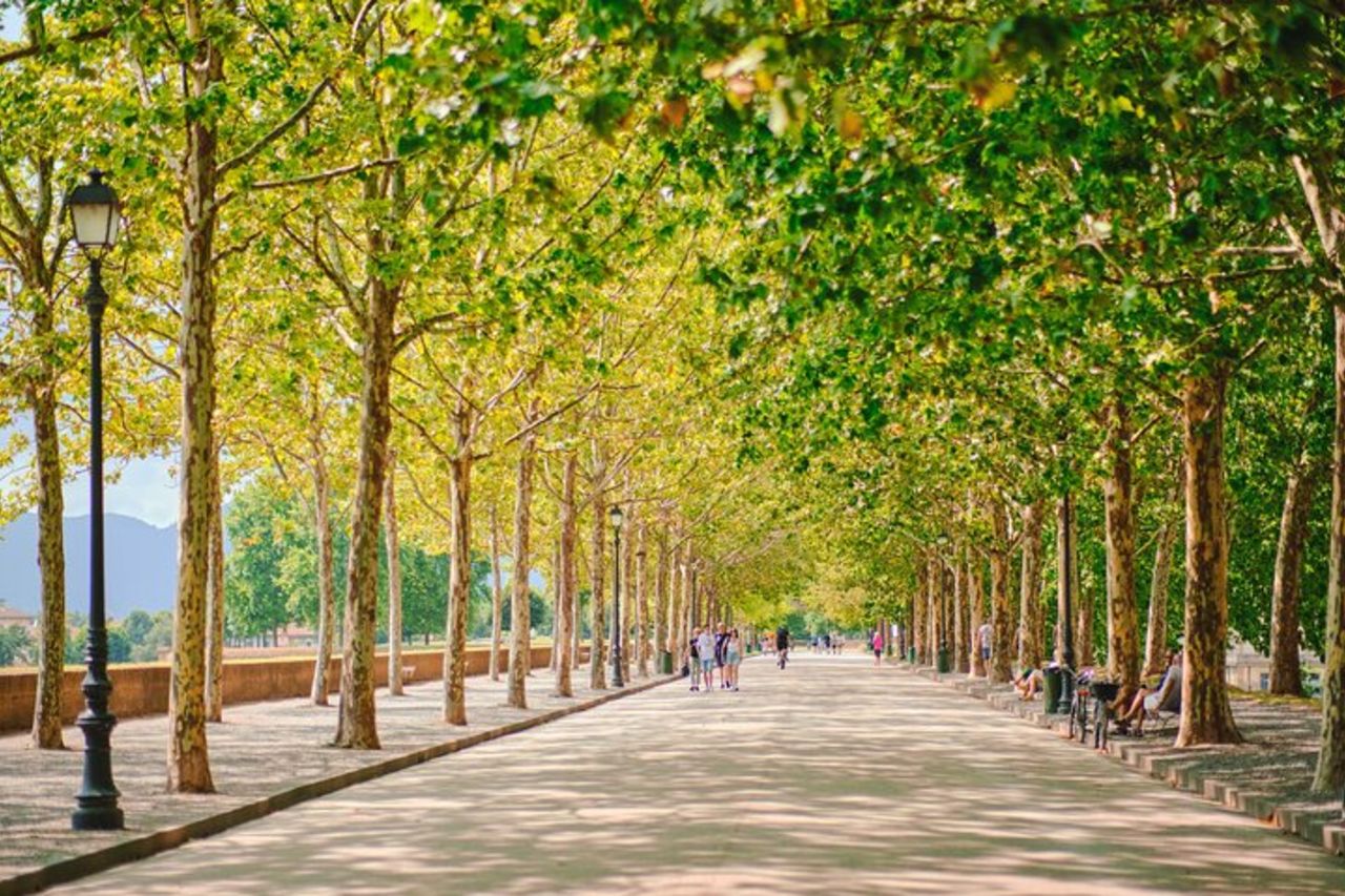 Tour privato VIP di un'intera giornata a Pisa e Lucca da Montecatini — 9