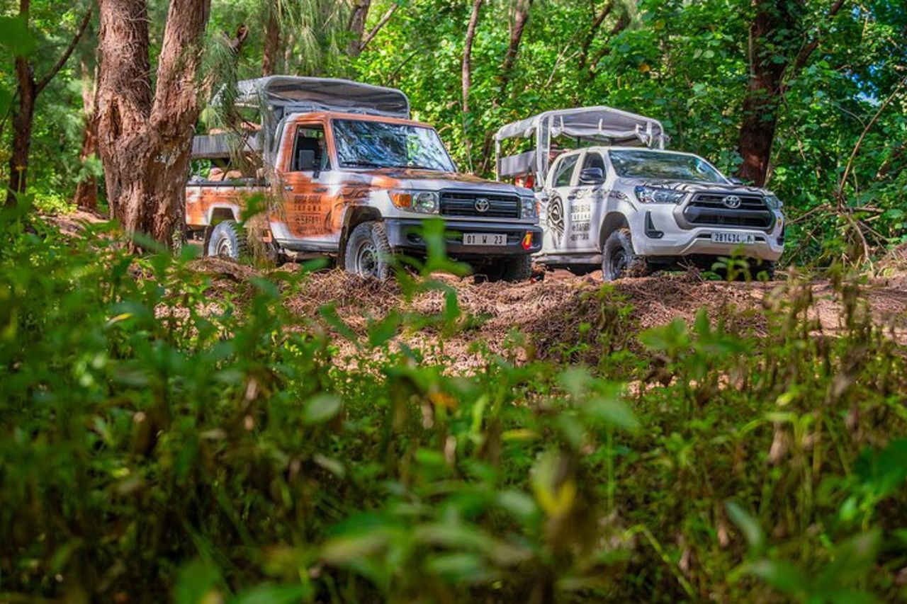 Tour safari dell'isola in 4X4 di mezza giornata a Bora Bora — 3