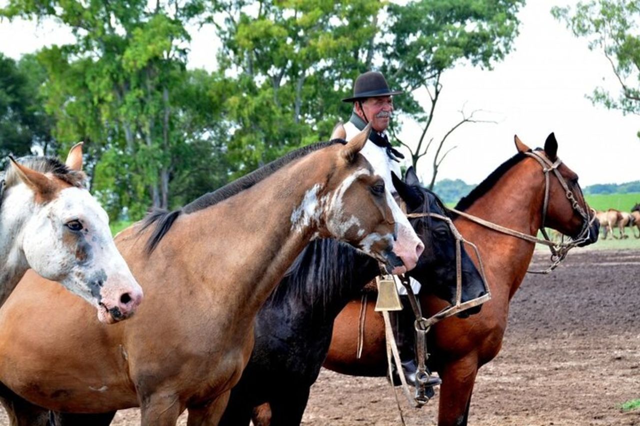 Tour gaucho di un giorno da Buenos Aires: Santa Susana Ranch