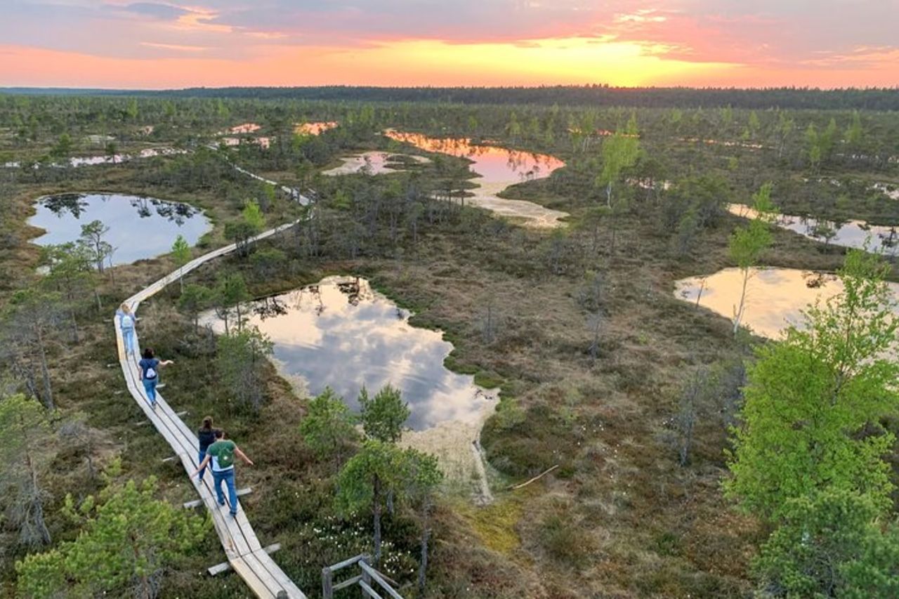Tramonto al parco nazionale di Kemeri — 2