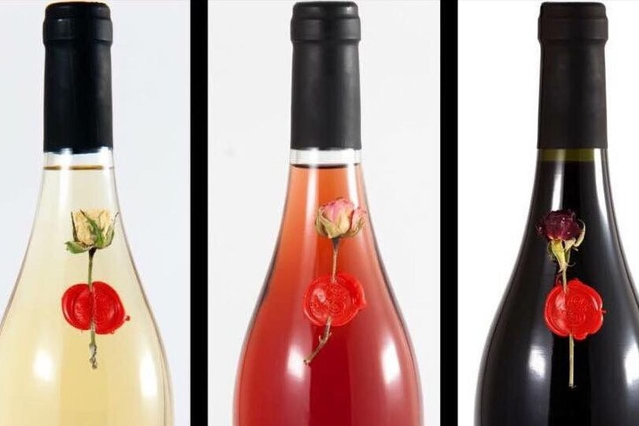 Tour e degustazione in cantina in Abruzzo — 6