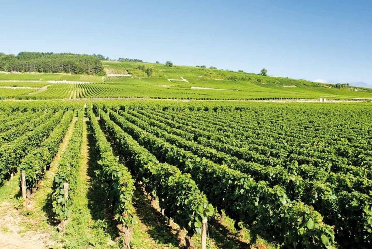 Tour privato a Saint-Tropez — 2