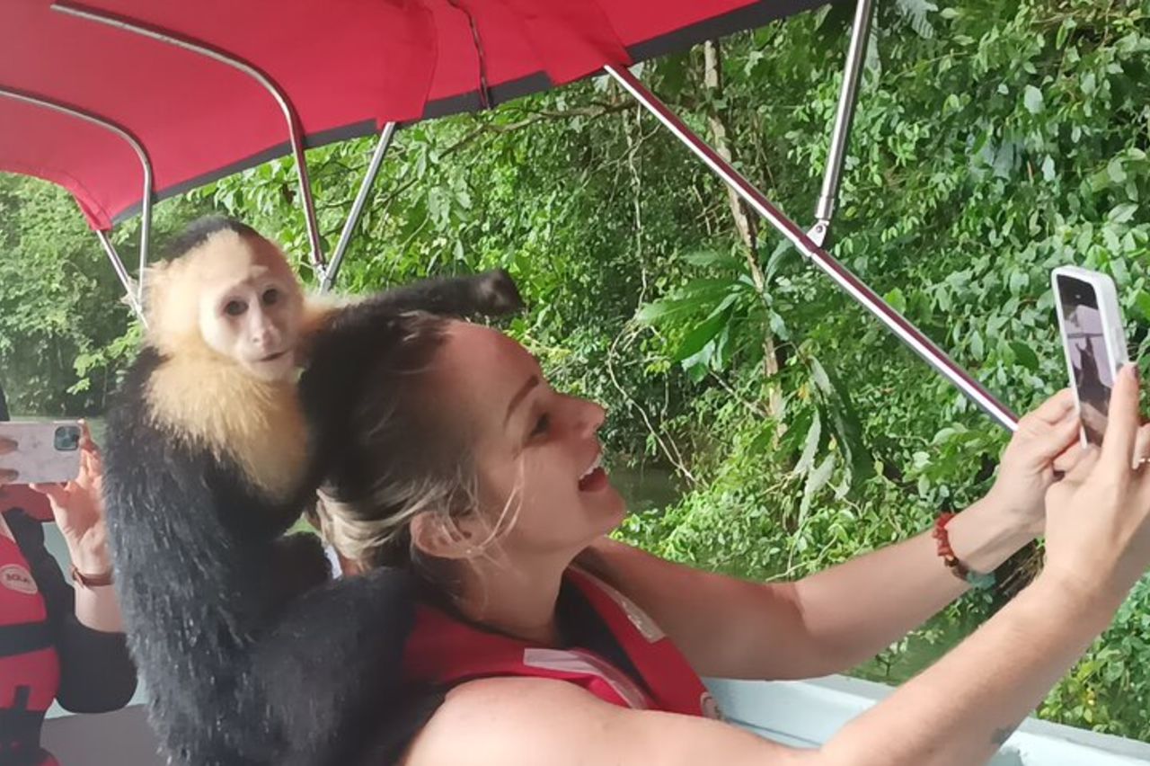 Gatun Lake : Scimmie e fauna esotica lungo il canale — 4