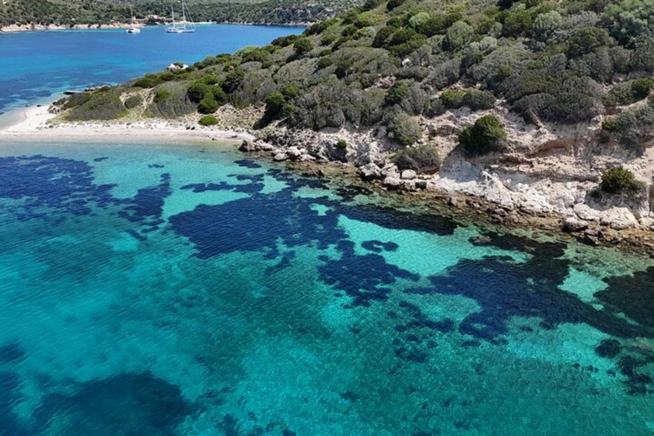 Capo Figari: Avvistamento Delfini da Olbia — 5