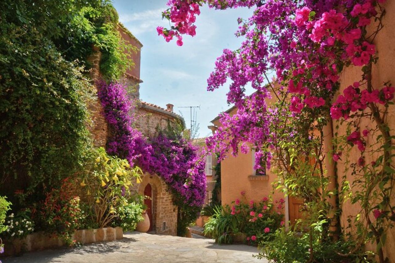 Tour privato da Saint-Tropez alla città dei fiori
