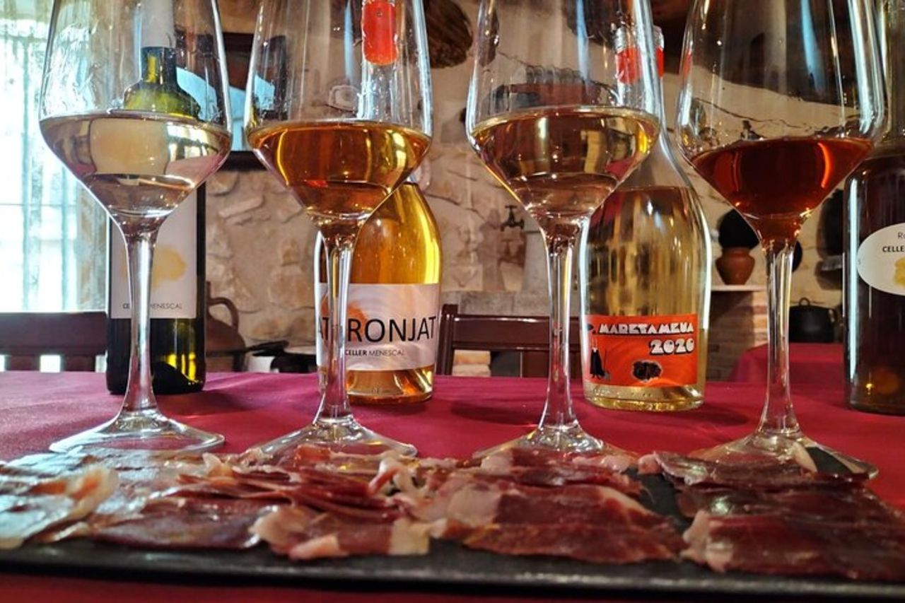 Visita la cantina e la degustazione di vini