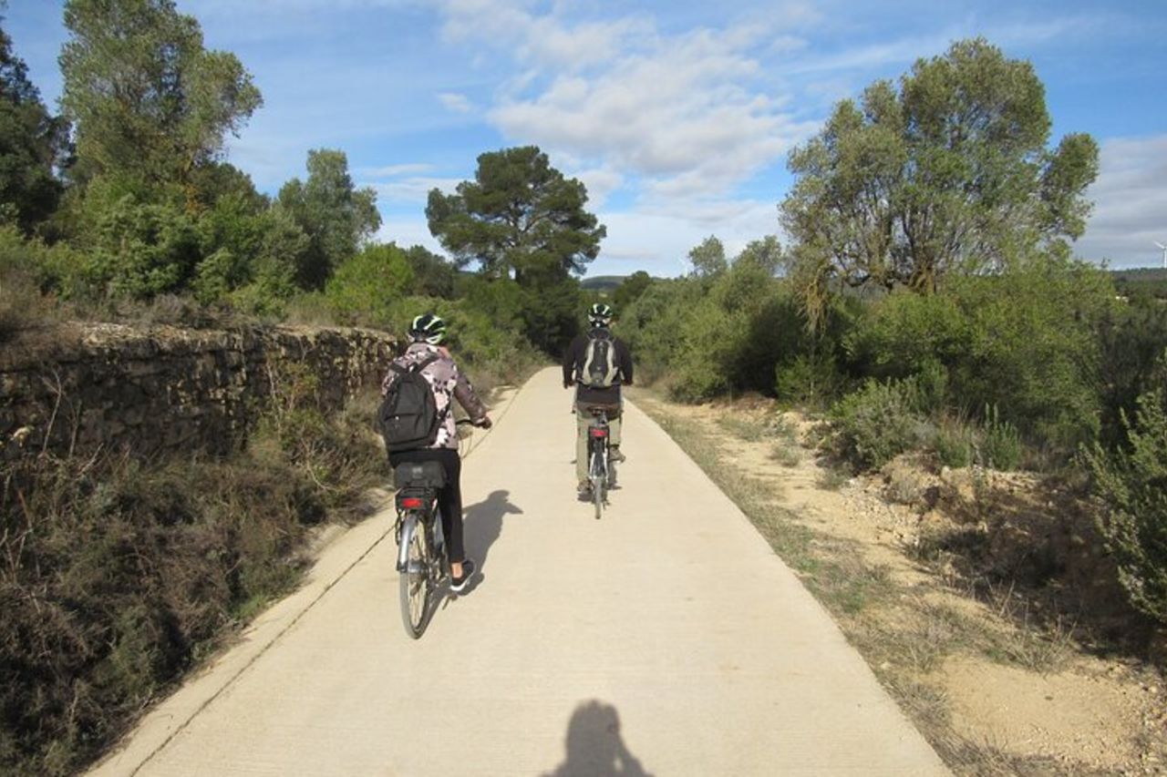 Visita la cantina e la degustazione di vini — 5