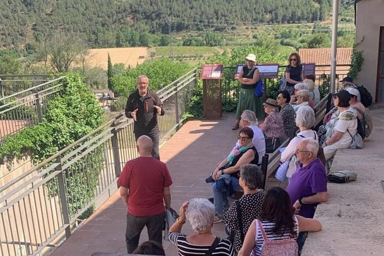 Visita la cantina e la degustazione di vini — 7