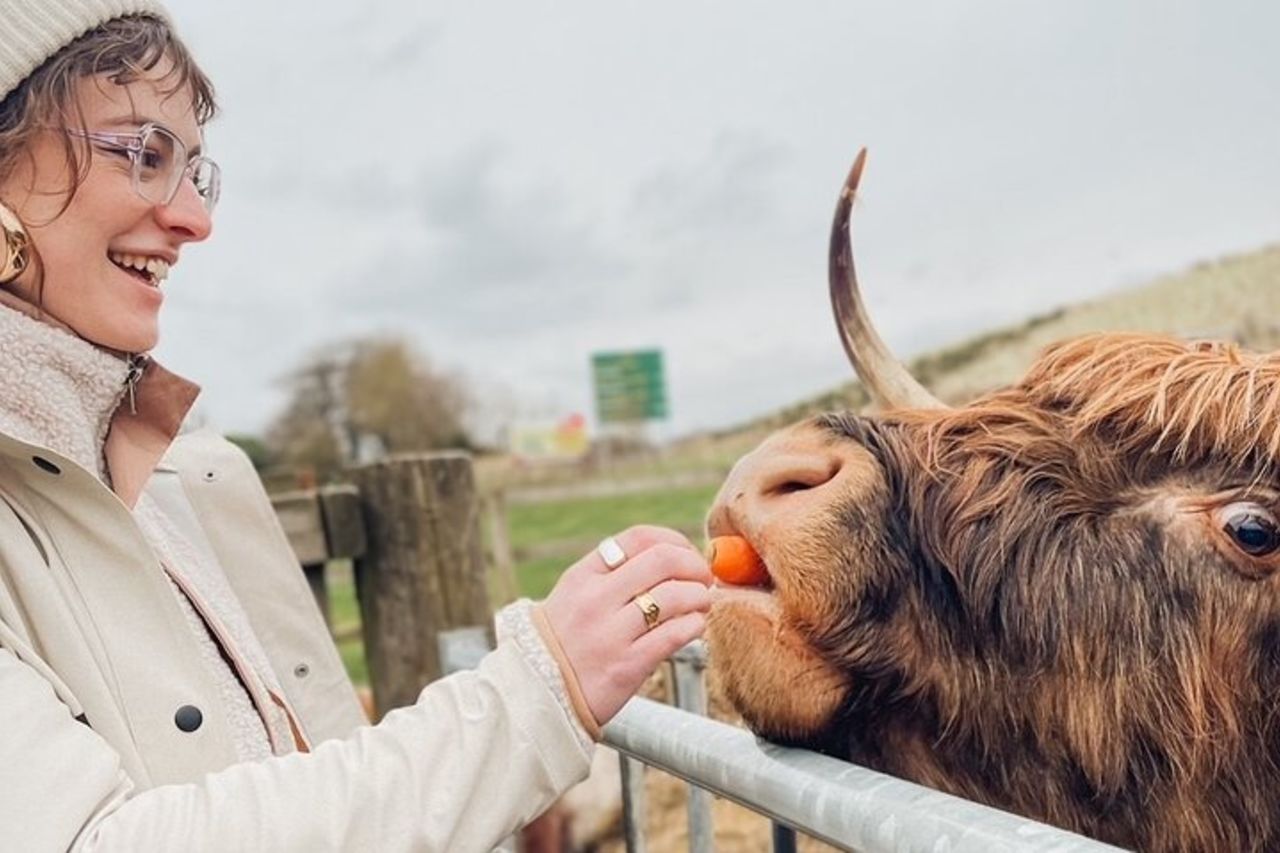 Glasgow: tour di un giorno a Loch Ness, Glencoe e nelle Highlands — 2