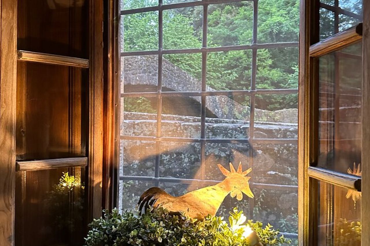 Lezioni di cucina extra vergine / Ubicazione del mulino in campagna — 5