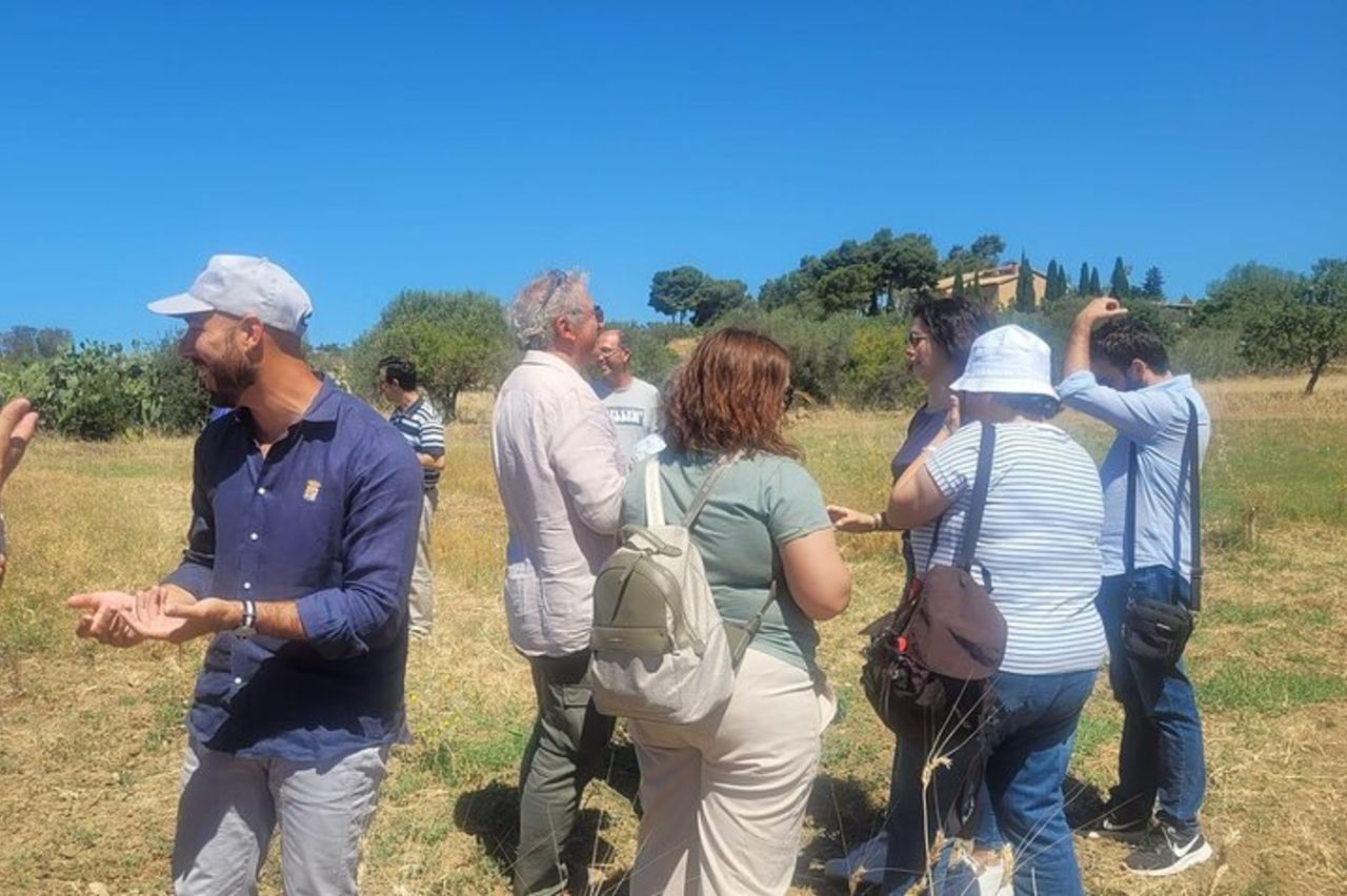 Salta la fila Valle dei Templi - Tour guidato privato di Agrigento — 5