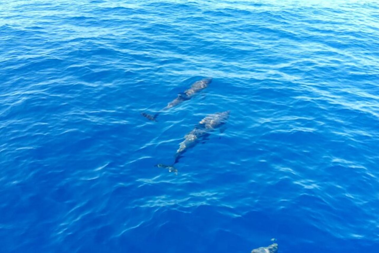 Giro alle Isole dell'Arcipelago La Maddalena in Barca a Vela — 3