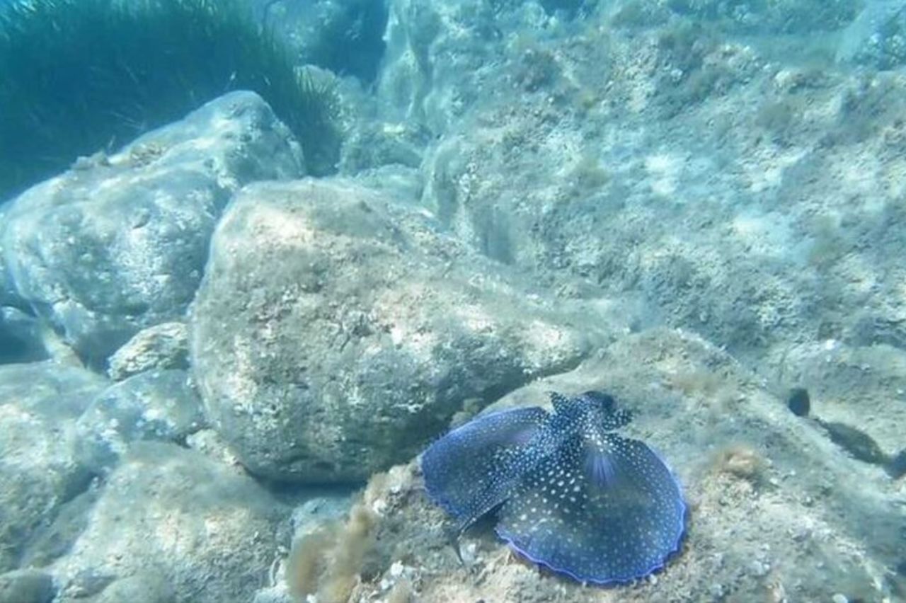 Cala Gonone Snorkeling nel Golfo di Orosei — 9